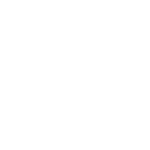 Prueba Kia
