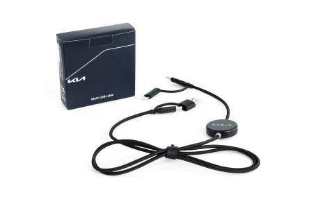Multi USB Kia