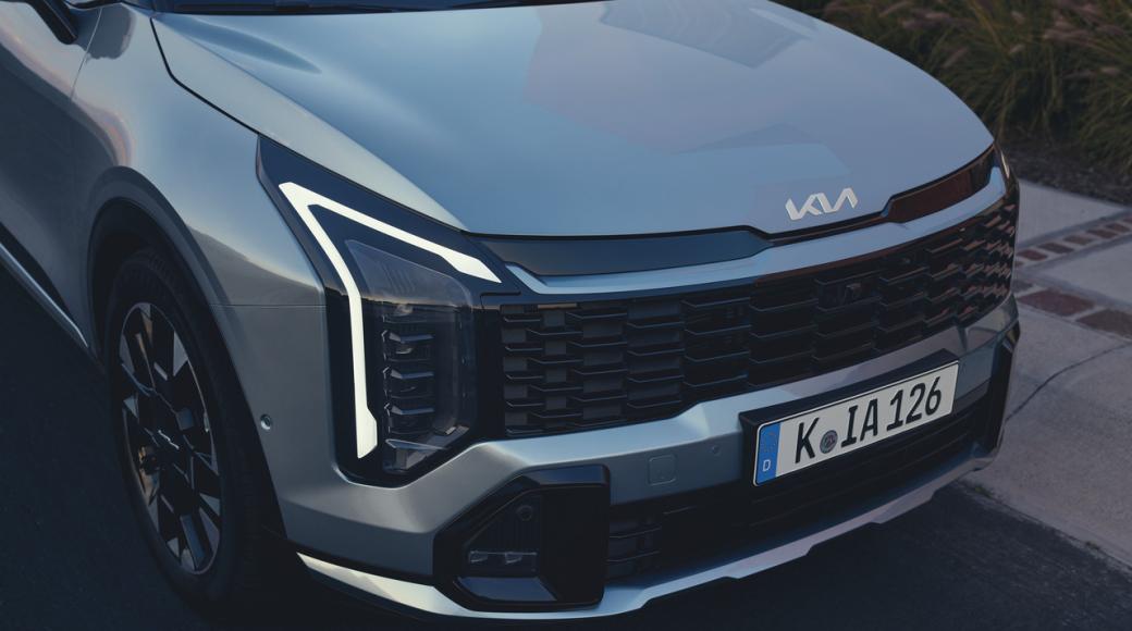 Imagen frontal imponente